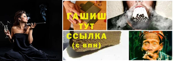 стаф Зерноград