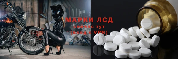 стаф Зерноград