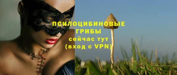 меф Заводоуковск